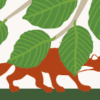 pine marten