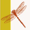 dragon fly