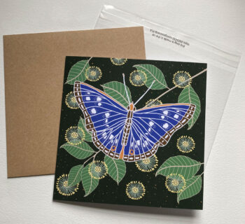 eco packaging
